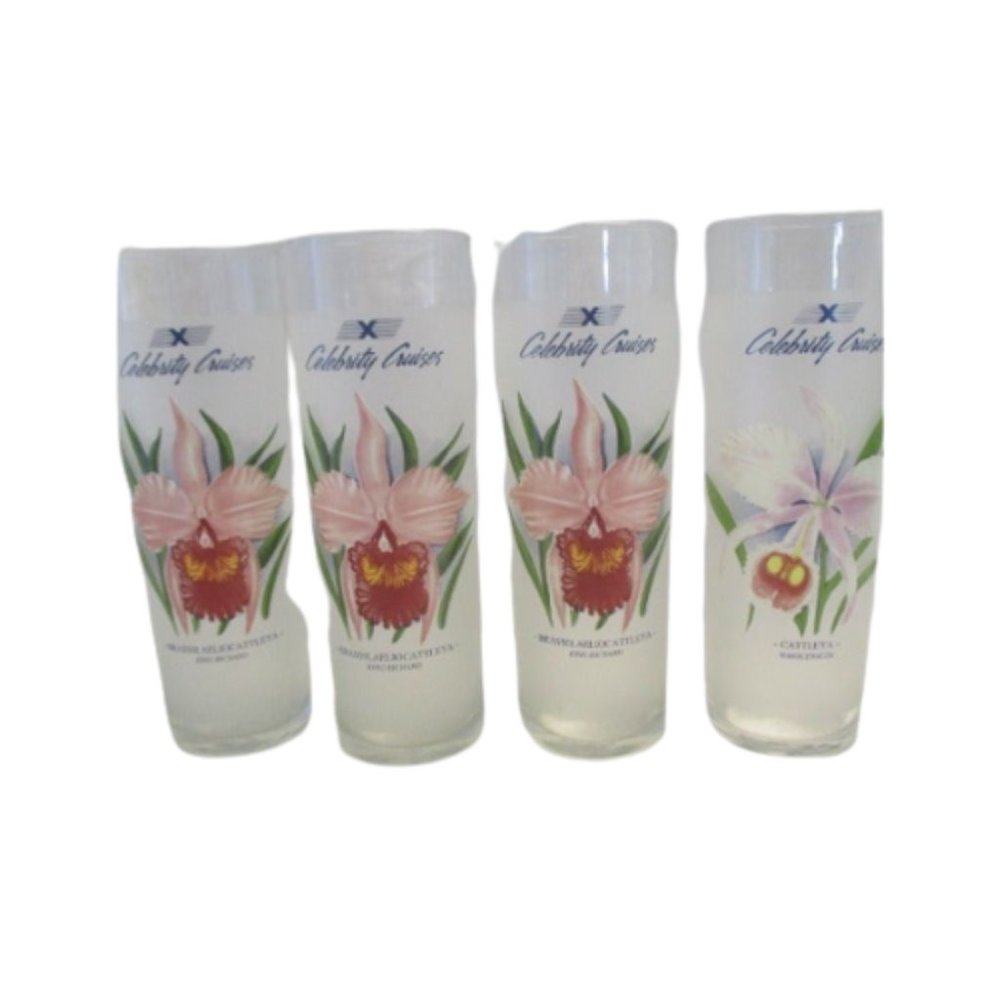 Set 4 Celebrity Cruises Frosted Cocktail Glasses